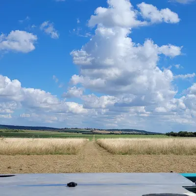 Rogala na startovacím místě